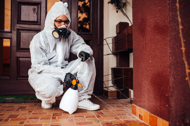 Reliable Wasp Removal contractor in Yuma, CO by Show Me Pest Control